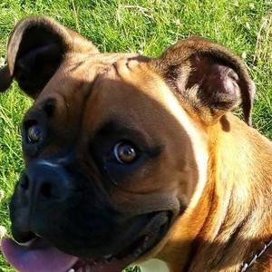 Meet your Posher, Kelley